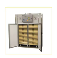 Machine de séchage de pâtes industrielle automatique continue, qualité alimentaire SS304, haute capacité 100 kg/h, garantie 1 an, pour la restauration commerciale
