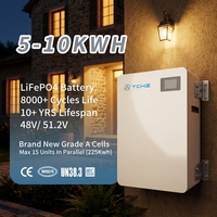Batería de Litio LiFePO4 de 90% DOD, 10 kWh, 48 V/51.2 V, 200 Ah, Apilable, con BMS Inteligente, para Almacenamiento Solar Doméstico, CAN 8000+, Garantía de 10 Años