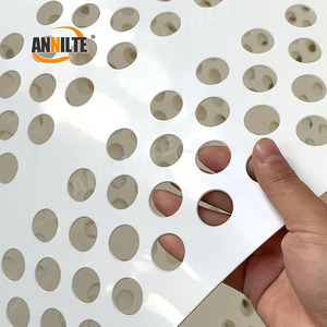 Annilte 500mm geperforeerde eiertransportband voor pluimveebedrijven - Product Image 1