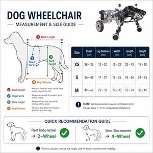 <span class=keywords><strong>Chariot</strong></span> pliable et réglable <span class=keywords><strong>pour</strong></span> animaux de compagnie EUR VET à 2 roues / Fauteuil roulant <span class=keywords><strong>pour</strong></span> chiens à pattes arrière - Écologique, capacité 20 kg, <span class=keywords><strong>pour</strong></span> chiens à pattes arrière handicapées - Product Image 6
