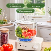 Marmite à soupe en acier inoxydable avec poignée, grande capacité, verre borosilicate, design moderne et minimaliste pour plaques de cuisson électriques et vitrocéramiques