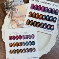 Vernis à ongles gel œil de chat effet lumière cosmique, 6 couleurs, sans HEMA, bicolore, magnétique, UV, personnalisable avec logo, OEM