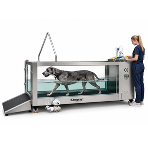 Tapis roulant aquatique électrique clinique pour chiens avec inclinaison, hydrothérapie canine, tapis roulant de rééducation aquatique pour grands chiens - En promotion - Product Image 1