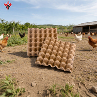 Barquettes à œufs en papier biodégradables et écologiques jetables pour 30 œufs, cartons en carton pour la volaille, barquettes à œufs en gros