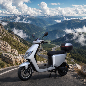 Scooter Eléctrico de 2 Ruedas con Pedales, Largo Alcance, 48v 500w, Precio Económico al por Mayor, desde China - Product Image 6