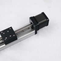 Industrielles HMS40T Linearmodul mit Trapezgewinde, 400mm Hub, Lagerung, Niedriger Schwingungswiderstand, Wirtschaftlicher Preis