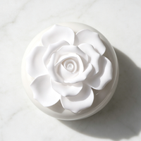 Diffuseur de parfum d'ambiance en cire parfumée, bouteille en céramique de porcelaine faite à la main, diffuseur à bâtonnets d'huiles essentielles pour la maison