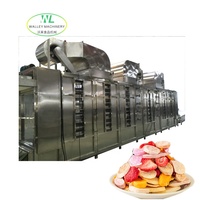 Hotsell Walley RVS Automatische Motor Hoge Temperatuur Voedseltunnel Droger Groente Knoflook Dehydraterende Droogmachine