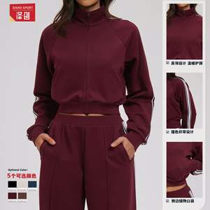 Veste sweat-shirt color-block pour femme Zechuang, doublure polaire, col montant, fermeture éclair, respirante, ensemble de sport d'extérieur EWT2519 - Product Image 5