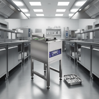 Industriële elektrische roestvrijstalen centrifugaalpolijstmachine, 10L capaciteit, 550W, voor restaurants, hotels en levensmiddelenwinkels