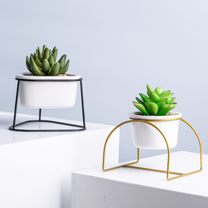 Maceta de dolomita blanca con soporte de Metal y plantas suculentas para macetas - Product Image 6