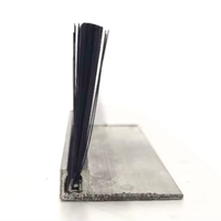 Brosse de seuil de porte ZXD Type F en nylon/PP avec poils en nylon et support en aluminium – Bande d'étanchéité inférieure pour porte