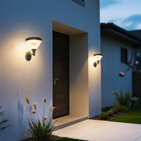 Lampe murale solaire LED ZC BD0804 2W avec panneau mono en aluminium PC, étanche IP65, pour extérieur et jardin, fabrication usine