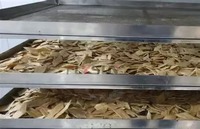 Sécheur tunnel à micro-ondes automatique Flysun contrôlé par PLC pour la stérilisation et le séchage du tofu, machine à bande transporteuse en acier inoxydable 304