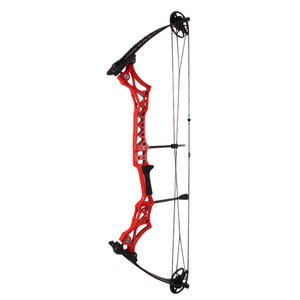 Arco compuesto de tiro con arco para caza profesional, compuesto de arco para tiro con arco, JWM-108, China, venta al por mayor - Product Image 4