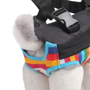 Resistente poliestere tela arcobaleno zaino per cani e gatti <span class=keywords><strong>cintura</strong></span> chiusura <span class=keywords><strong>borsa</strong></span>/gabbia - Product Image 5