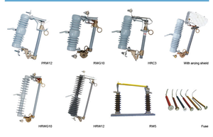 <span class=keywords><strong>HOGN</strong></span> personnalisé de haute qualité en plein air fusible haute tension découpé de nombreux types disponibles - Product Image 6