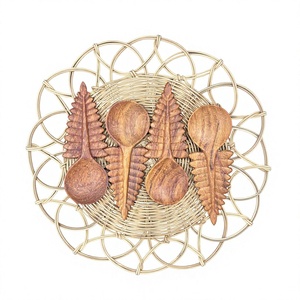 Cuchara de Té Desechable de Madera Premium, Cubiertos Ecológicos de Madera Natural para Camping, Entrega de Comida, Comida para Llevar, Embalaje Espejo - Product Image 1
