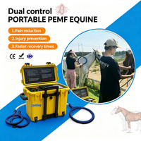 Appareil PEMF équin à double commande, appareil de magnétothérapie portable pour la thérapie équine, les soins vétérinaires et équins