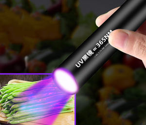 Portátil 365nm Mini UV Led luz negra linterna recargable ultravioleta linterna para mascotas vegetales - Product Image 3