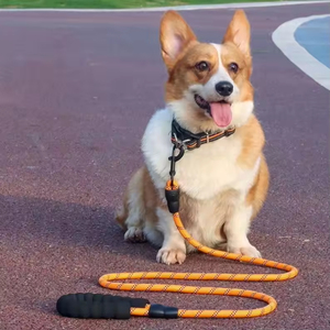 Custom LOGO Reflective Nylon Slip Lead <b>Dog</b> <b>Leash</b> for Puppy Small <b>Dogs</b> Training and Walking - Product Image 6