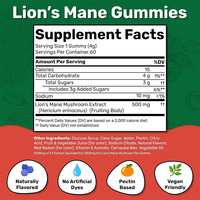 Gummies aux champignons Chaga et Reishi en gros sous marque privée, supplément de gummies aux champignons Lion's Mane