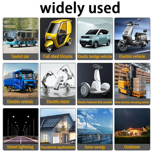 Wholesale Lithium Ion <strong>Battery</strong> Pack - <strong>48V</strong>/52V/60V High-Capacity 20Ah <strong>25Ah</strong> 30Ah for Electric Scooters &amp; Golf Carts - Product Image 6