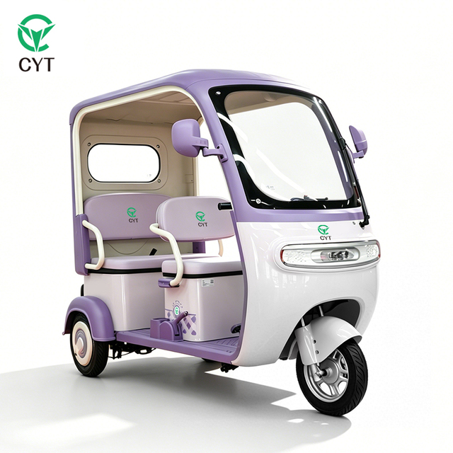 Lightweight OEM ODM Elderly Electric Tricycle with Full Enclosed Cabin and Customizable Color