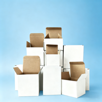 Boîtes d'expédition blanches en carton ondulé 3 plis personnalisées, boîtes d'expédition vierges pour cosmétiques, électronique, petits produits, emballage