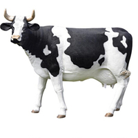 Harga Pabrik Grosir Patung Sapi Serat Kaca Ukuran Hidup