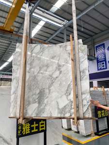 Pierre de marbre blanche Arabescato polie d'<span class=keywords><strong>Italie</strong></span> naturelle directe d'usine pour la pierre de mur - Product Image 5