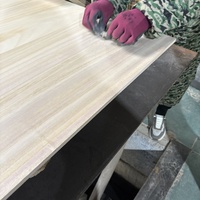 Paulownia Solid Wood Board Resistant Cracking and Compatible Various Processing Methods