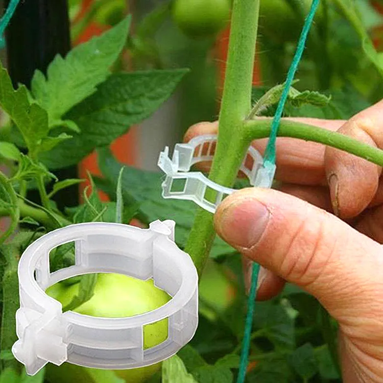 Pinces à tomate blanche et noire biodégradables, 12 pièces 24mm, pinces de support de plantes en plastique, pour le Support des tomates dans le jardin