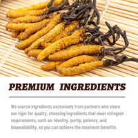 Capsules d'extrait de champignon Cordyceps Sinensis à marque privée, capsules de poudre d'extrait de Cordyceps Militaris