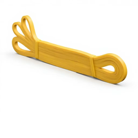 Juego de Bandas de Resistencia Ligeras y Transpirables de TPE para Gimnasio, Fitness, Ejercicio, Bandas de Tracción Suaves Personalizadas