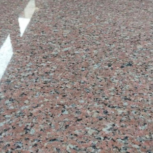 Rosa rosado - Product Image 1