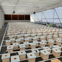 Système hydroponique en seaux hollandais pour la culture de légumes et de fruits en serre, seaux de culture en substrat