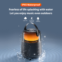 QERE HF55 Mini Enceinte Portable Sans Fil Extérieure avec Subwoofer, Lumières LED RGB Clignotantes, Étanchéité IPX5, Basses Métalliques