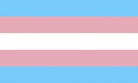 Stock 100% polyester 3 * 5ft Pride Support Transgender Trans Flag avec deux œillets
