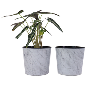 Econo Luxury White Marble Pattern Big Planter Flower Bosai Pots Large Succulent Plastic Round Bonsai Flower Pots