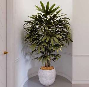 Anello di Protezione <span class=keywords><strong>per</strong></span> Alberi in Fibra di Cocco, <span class=keywords><strong>Tappetino</strong></span> Anti-Erbacce Naturale (36cm/14 pollici) - Confezione da 10 - Product Image 2