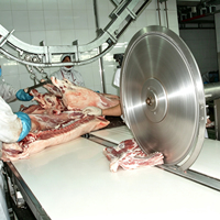 Machine de découpe horizontale segmentée rapide pour carcasses de porc, machine de traitement du porc, machine d'abattage de porcs