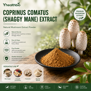 Extracto de Hongo Shaggy Mane en Polvo Premium, <span class=keywords><strong>Coprinus</strong></span> <span class=keywords><strong>Comatus</strong></span>, Extracto Concentrado en Polvo para Fabricación de Marca Privada - Product Image 5