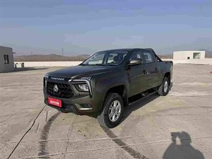 Véhicule diesel 2.0T à deux roues motrices, double cabine, grand format, durable, économe en carburant, prix abordable, modèle 2024, best-seller : Combat pour la Victoire - Product Image 2