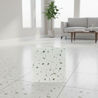 Carreaux de porcelaine à motif terrazzo de style moderne 300x600mm 8mm d'épaisseur pour usage extérieur et intérieur d'hôtel, résistants à l'usure