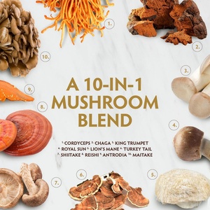 10 in 1 Lions Mane <b>Supplement</b> Reishi Lions Mane Mushroom Extract Capsules Lions Mane Mushroom Powder <b>Herbal</b> <b>Supplements</b> - Product Image 2