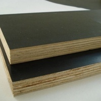 Contrachapado de Álamo de Alta Calidad para Encofrados de Construcción, Superficie Lijada, Grado E1, Formaldehído Estable, Espesor para Construcción