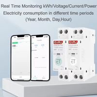 Disjoncteur intelligent WiFi Tuya EWeLink MCB 1P+N 63A avec relais temporisé, compteur d'énergie kWh, protection contre les surtensions et télécommande