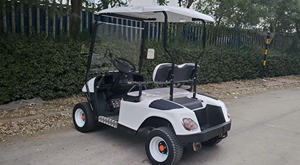 Nouveau produit le plus vendu : Chariot de golf 2 places pour adultes - Product Image 2