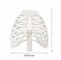 Modelo de Caja Torácica Móvil, Esqueleto de Torso Humano, Adorno Decorativo de Caja Torácica Suave, Accesorio de Exhibición, Disponible en Varios Tamaños y Colores